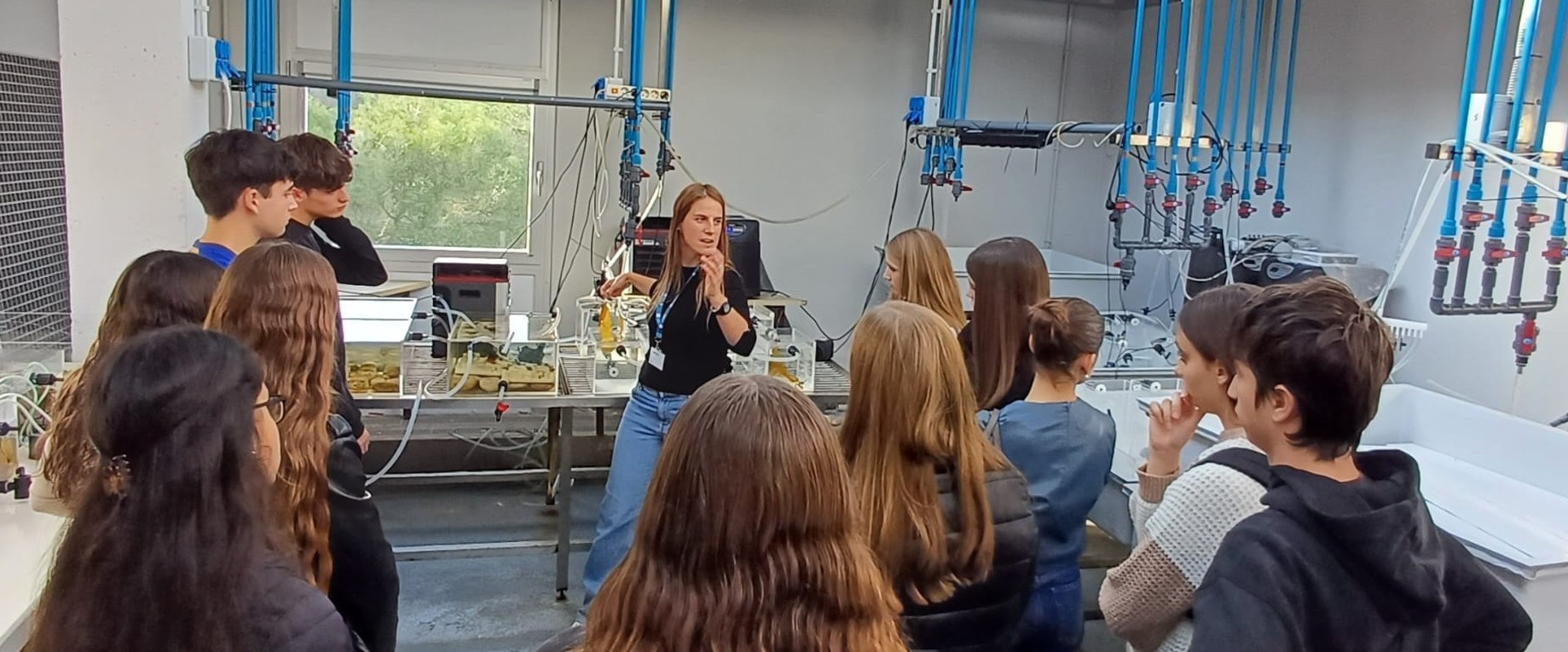 Hero Background Image